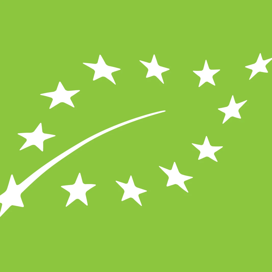 Focus Herb NOP & EU Green Organic Matcha Green Tea Powder