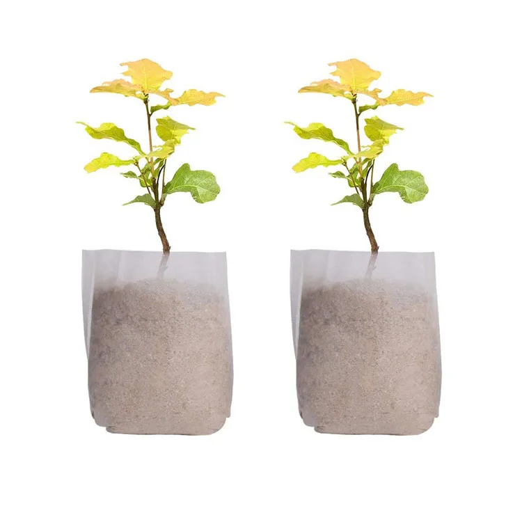 Eco Friendly Biodegradable Polypropylene Fiber Nonwoven Fabric Plant Nursery Bag