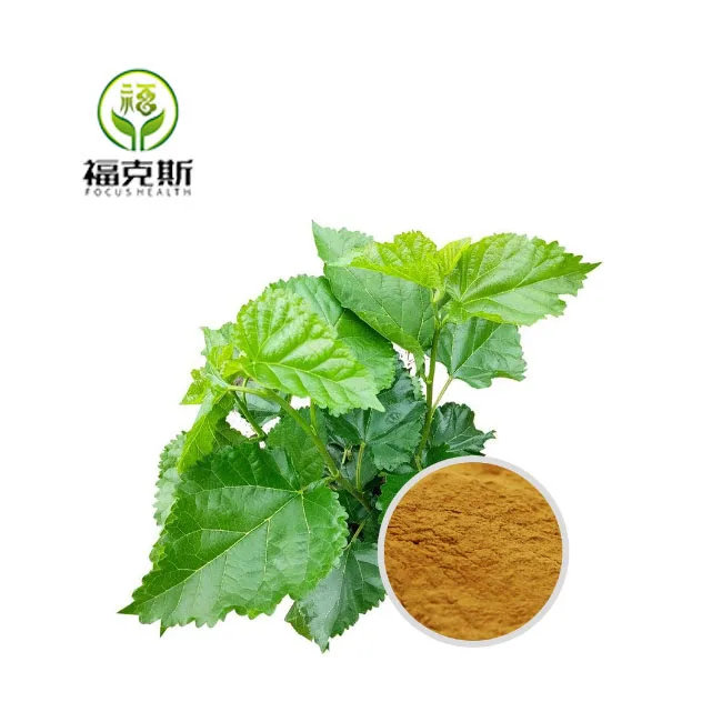 Pure Natural Organic Mulberry Leaf Extract Powder Cosmetic Grade White Mulberry Powder