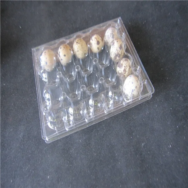 12 packs quail  egg  tray plastic PVC container for eggs