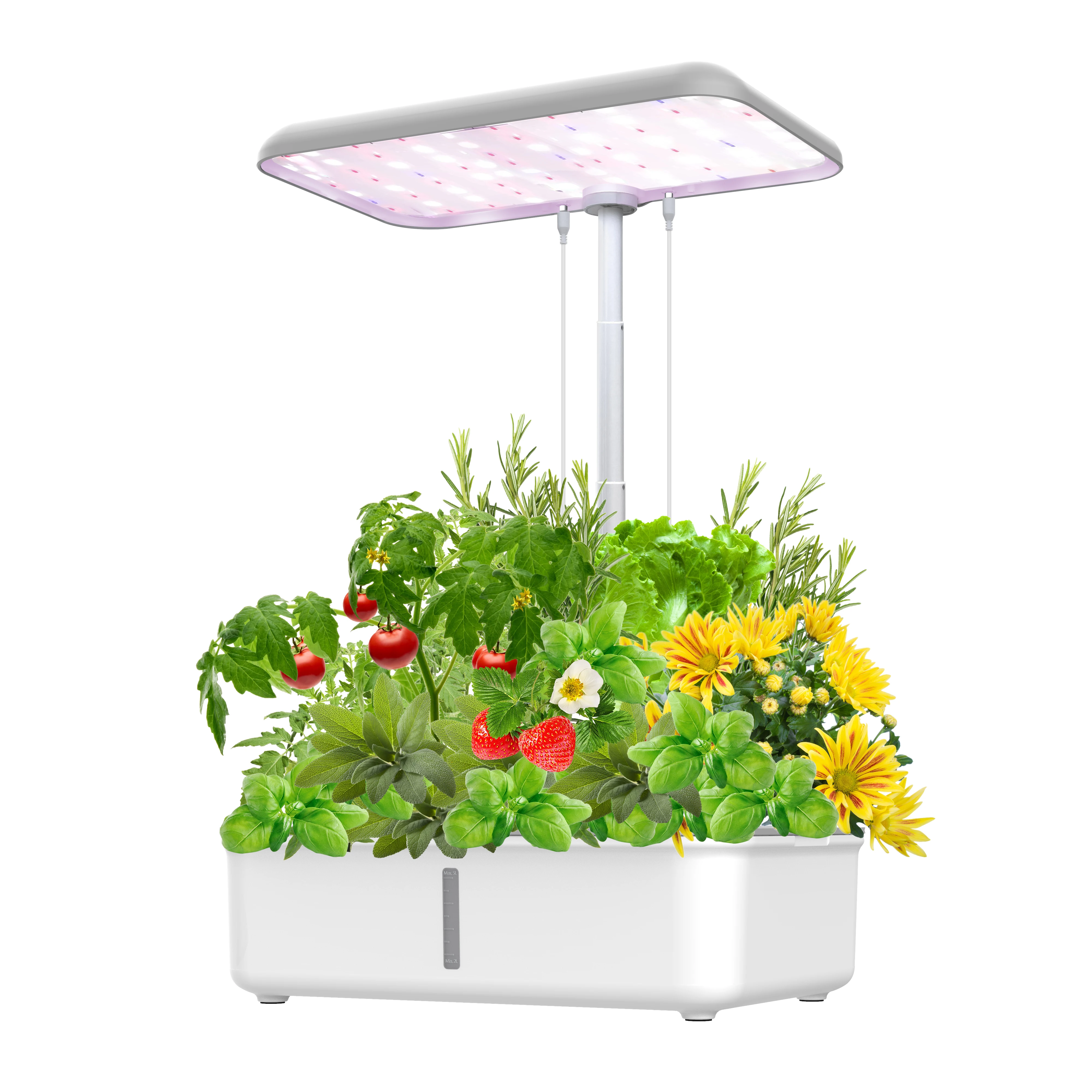 Indoor hydroponic growing systems indoor self-growing kit  smart indoor garden