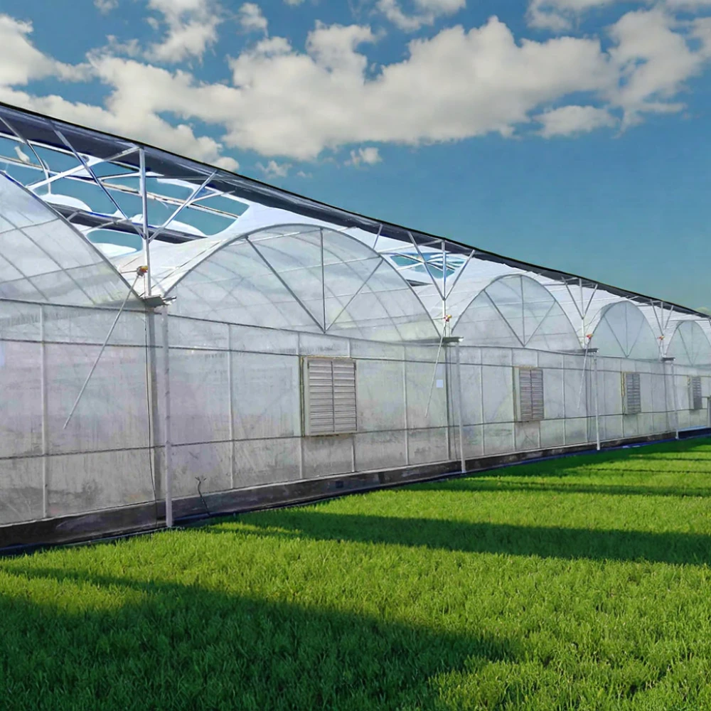Large Multi-Span Agricultural Greenhouses for Sale Green and Efficient Production