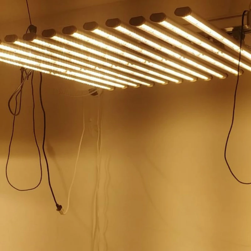 High PPFD cultivation SPYDR 2 series  led grow lights from veg to bloom over a 5x5 canopy