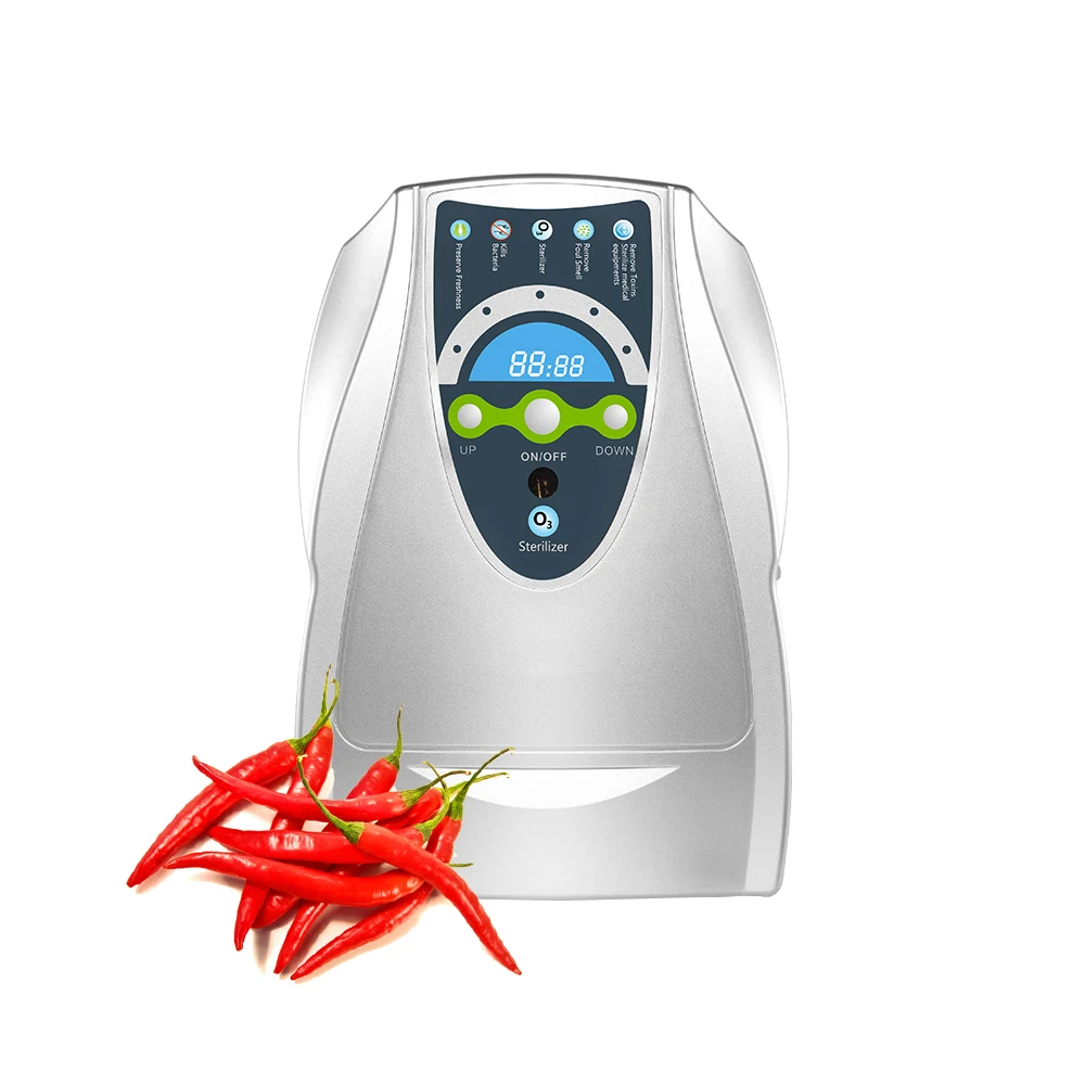 Ultra modern ozone purifier with removable adapter cable and cigarette wire O3 air stones