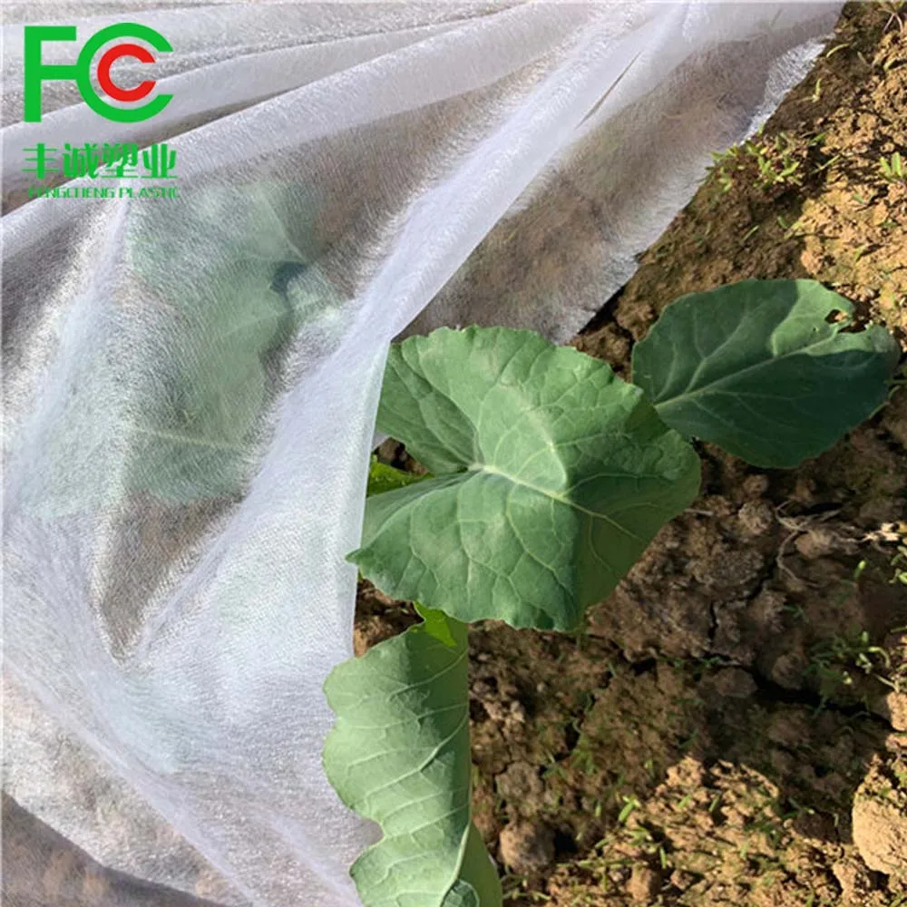 Floating Row Crop Cover / Frost Blanket / Garden Fabric Plant Cover in PP nonwoven material