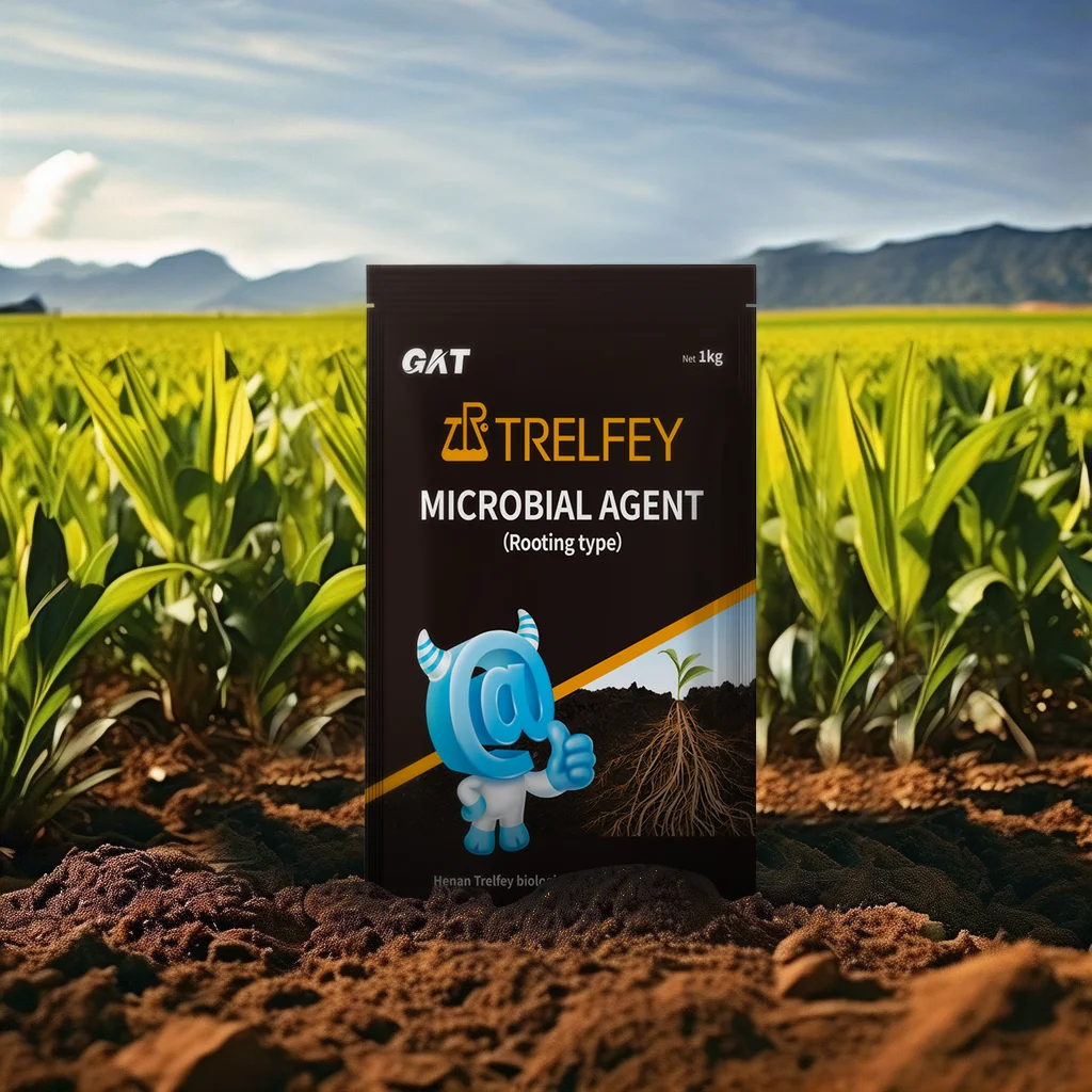 Scientific Proportion Microbial Inoculants In Agriculture Agrochemical Rooting Hormones Trichoderma Harzianum