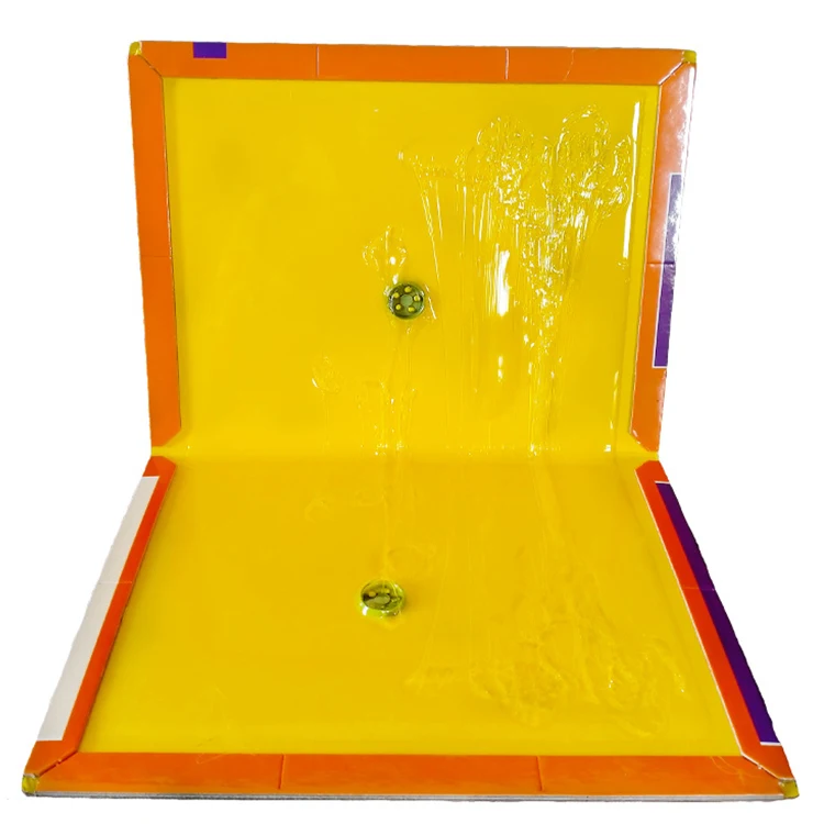 Hot Selling Efficient Rat Killer Bait Station Wholesale Manufacturer Mouse And Rat Catcher Trap Suppliers For Restaurants