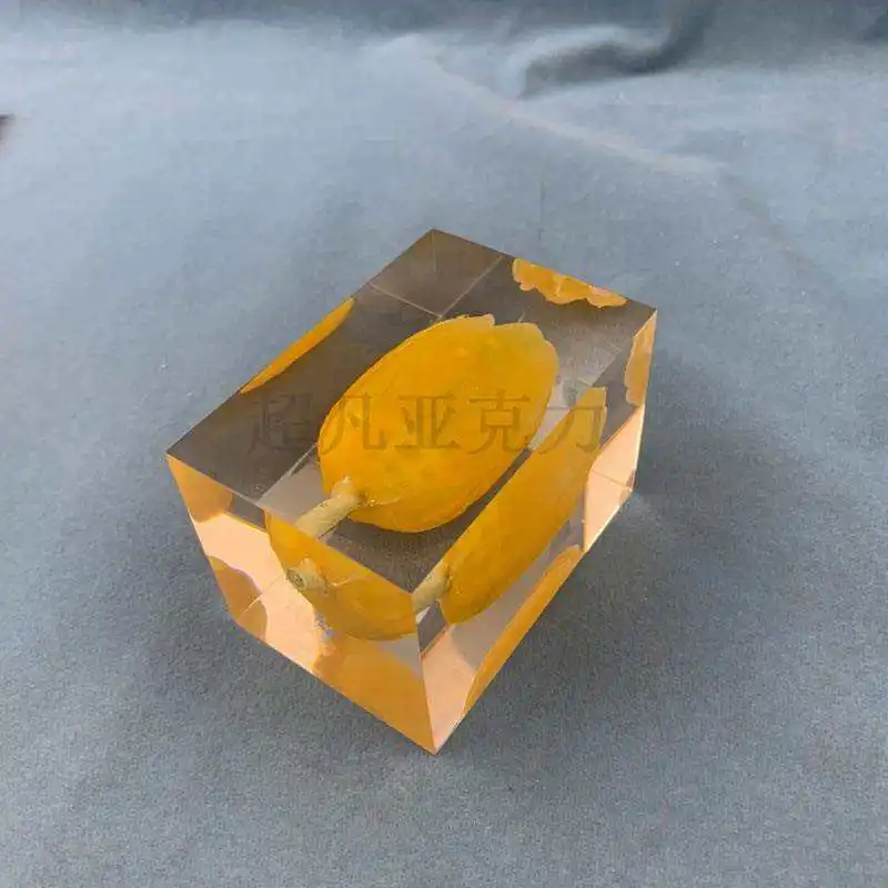 customize Business Promotional gifts flower inside acrylic block paper weight