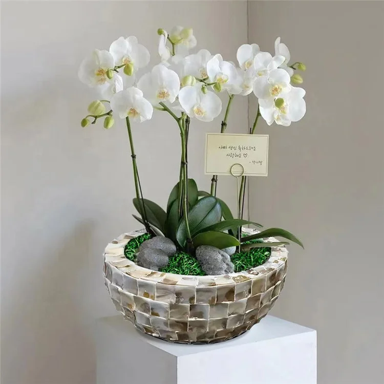 High Quality Luxury Mother of Pearl Shell Vase Round Bowl MOP Planter Pot from China