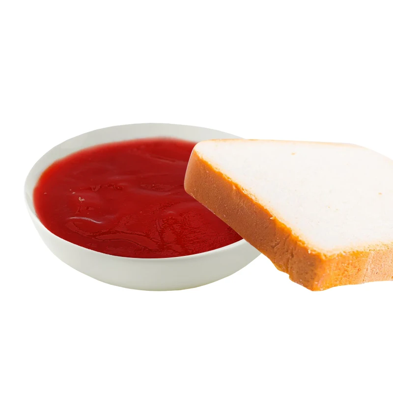 Wholesale Tomato Paste from China Tomato Ketchup for Fried Chips