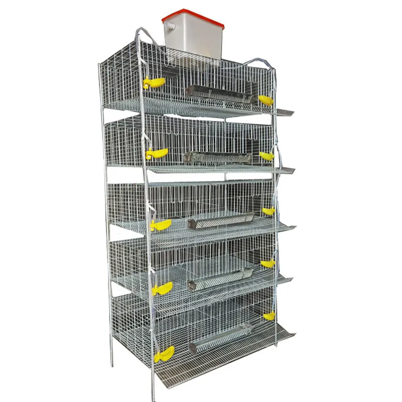 Poultry farm use Automatic Quail cage