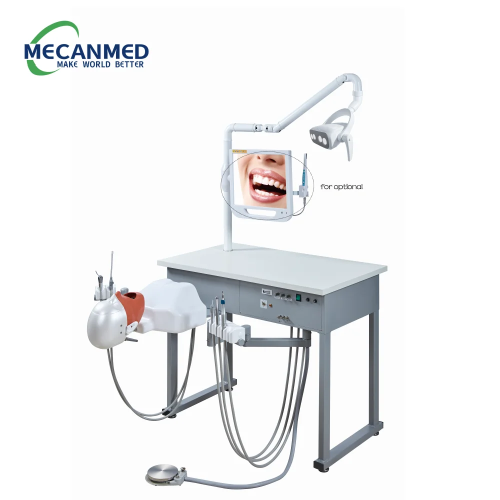 Top Quality Dental Education Manikins Dental Simulation Model Phantom Head Dentist Education Teach Studying Dental Simulator