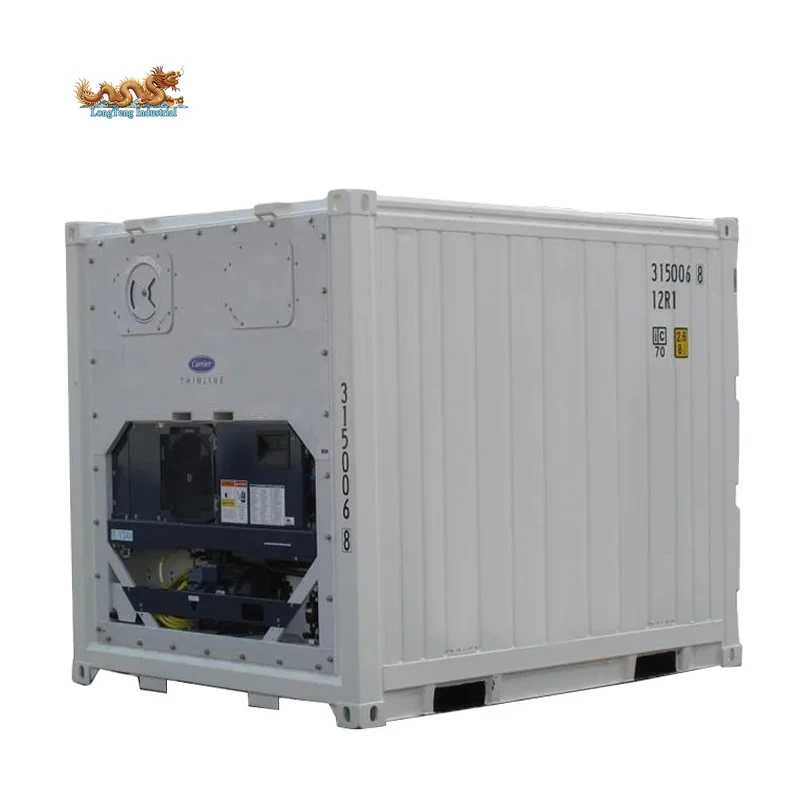10ft Refrigerated Chiller and Freezer Storage Cold Room 10ft 10 feet 10 foot Reefer Container Price with Carrier Cooling Unit