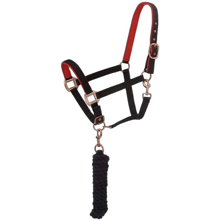 Custom Leather Halter with Super Soft Padding and Embroidery Leather Halter Horse Halter Equestrian Product Bridle Horse