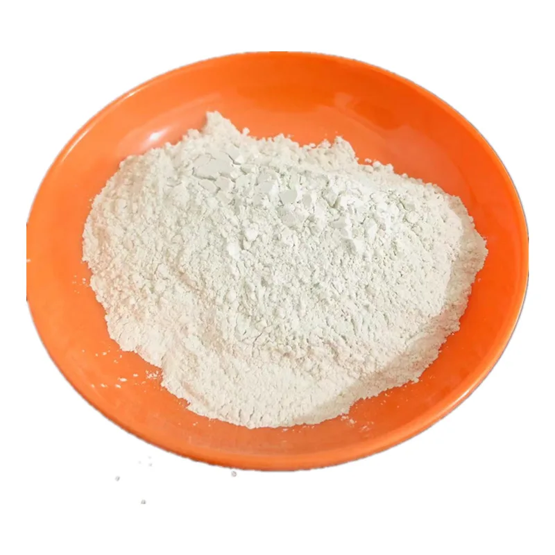 Health Care Food Streptococcus Thermophilus powder