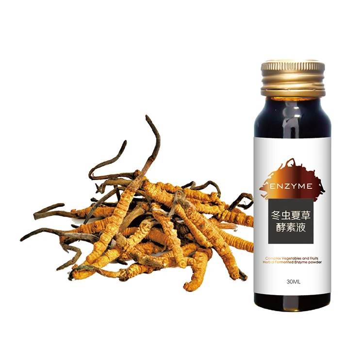 
Buy Health Cordyceps Liquid Health Cordyceps Extract Compound Enzyme Drink 
