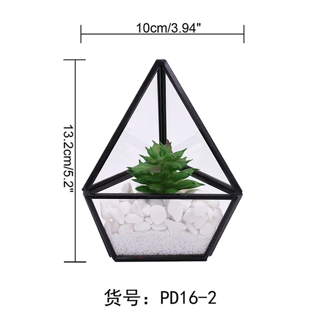 Hot Indoor Succulent Fern Moss Air Plants Display Box Decor Table Window Sill Balcony for Succulent Plant Miniature Fairy Garden