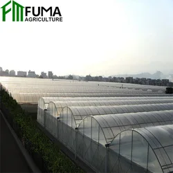 FM Cheapest In Stock Turnkey Projects Plastic Film Agricultural Tomato Hydroponics invernadero Green House Greenhouse