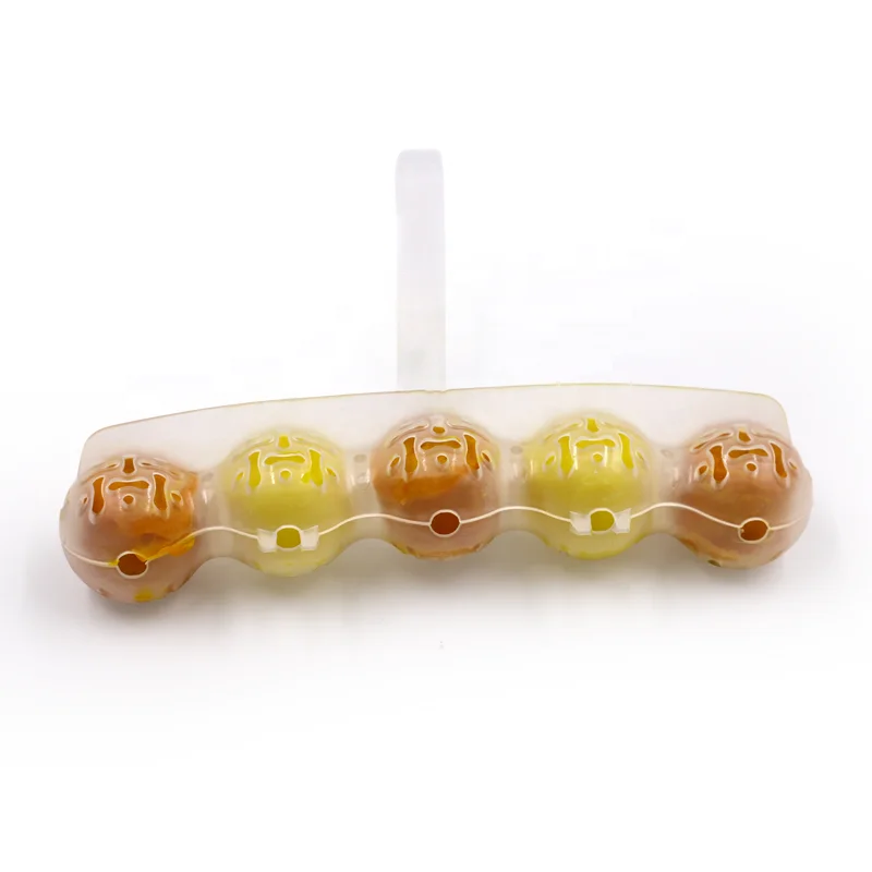 Low MOQ to Start with Your Brand Toilet Bowl Hanger Cleaner