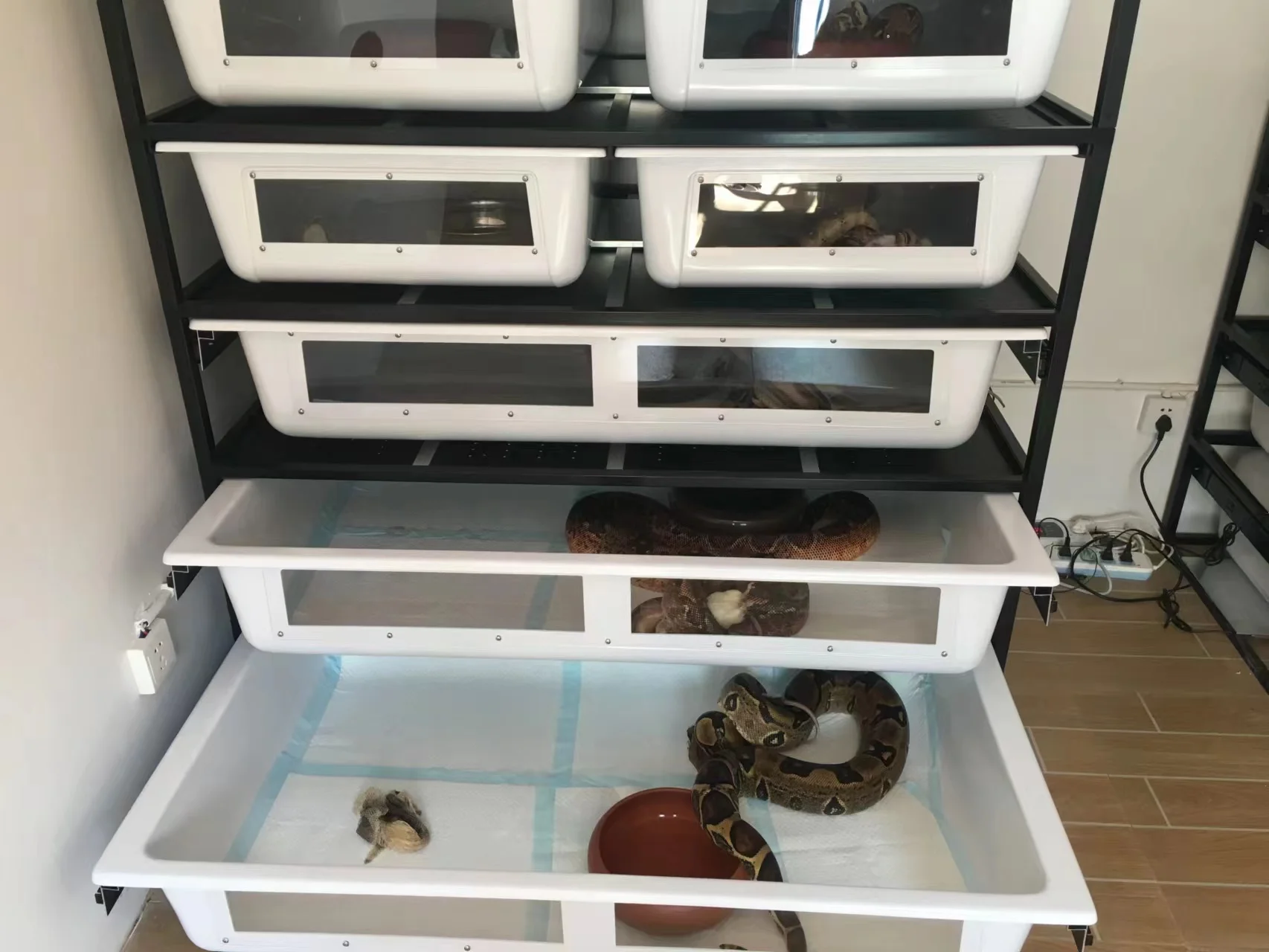 Live Large Heated Reptiles Accessories Snake Rack System Plastic PVC Breeding Box Tubs Snake Rack Cages
