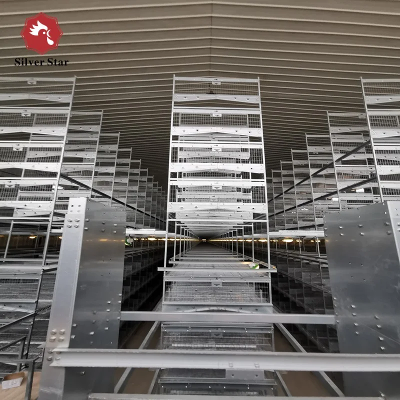 Battery cages laying hens poultry farm house design chicken coop in Malaysia