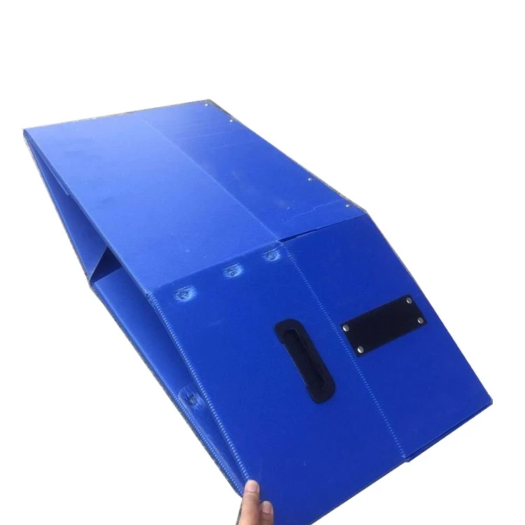 New style Plastic Broccoli Boxes Corrugated Ginger Sheet Cardboard Plastic Sheet Carton Box Stone Paper coroplast sheet box