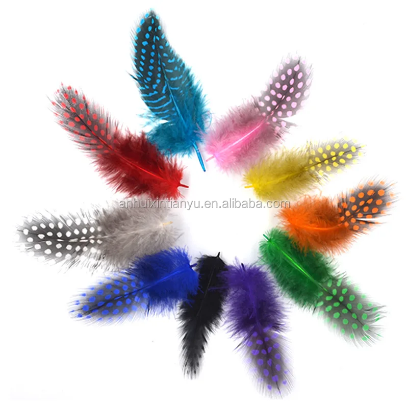Cheap Dyed Guinea Fowl Feather Bird Feather for Decoration