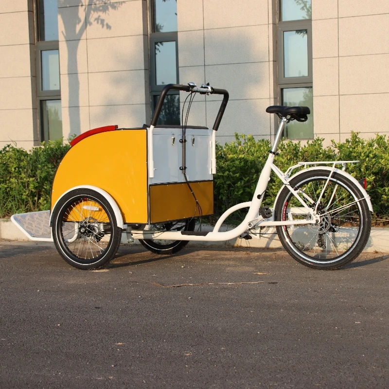 3 Wheel Bike Taxi For Sale