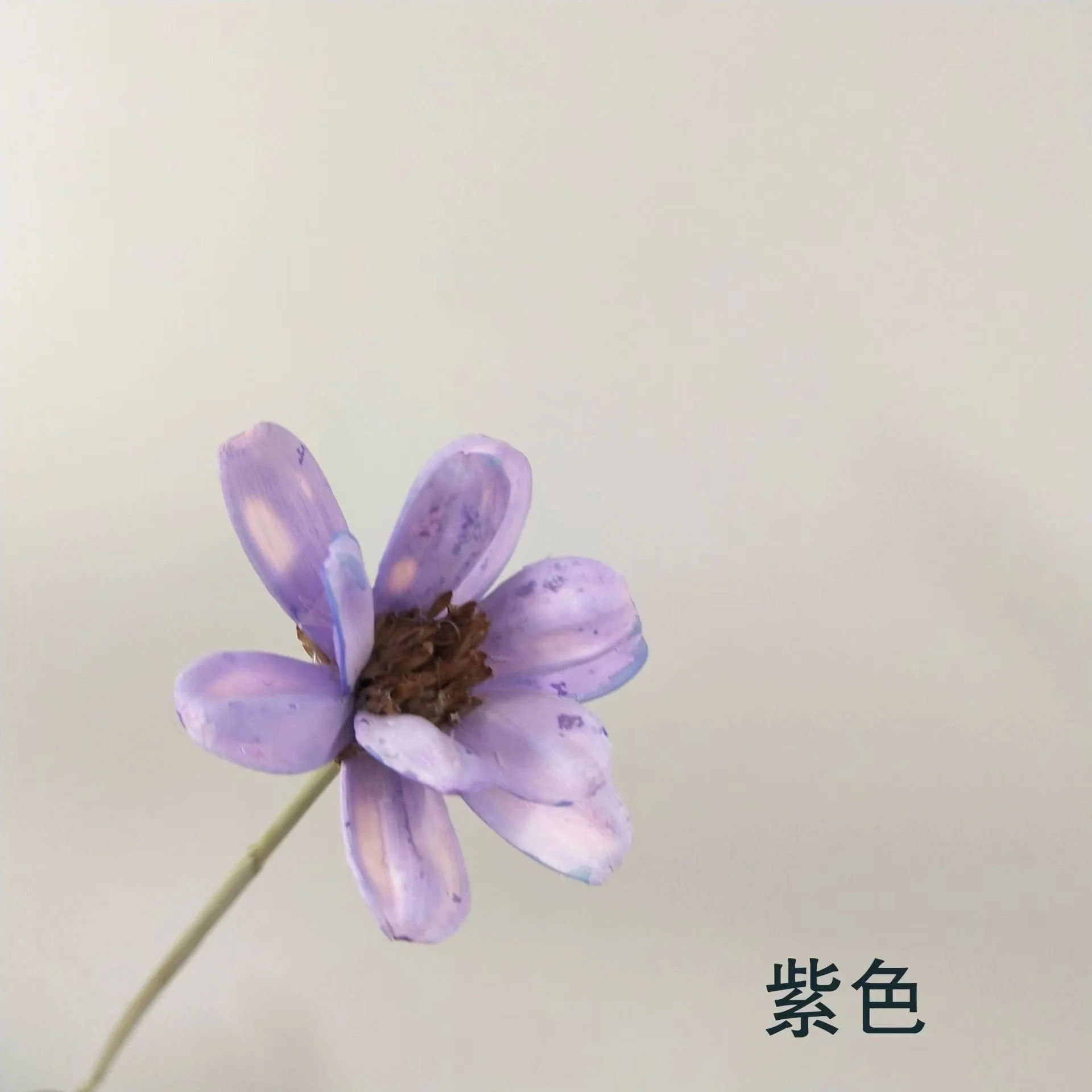 Factory Direct Wholesale Colorful handmade Melon seeds flower for Desktop decoration