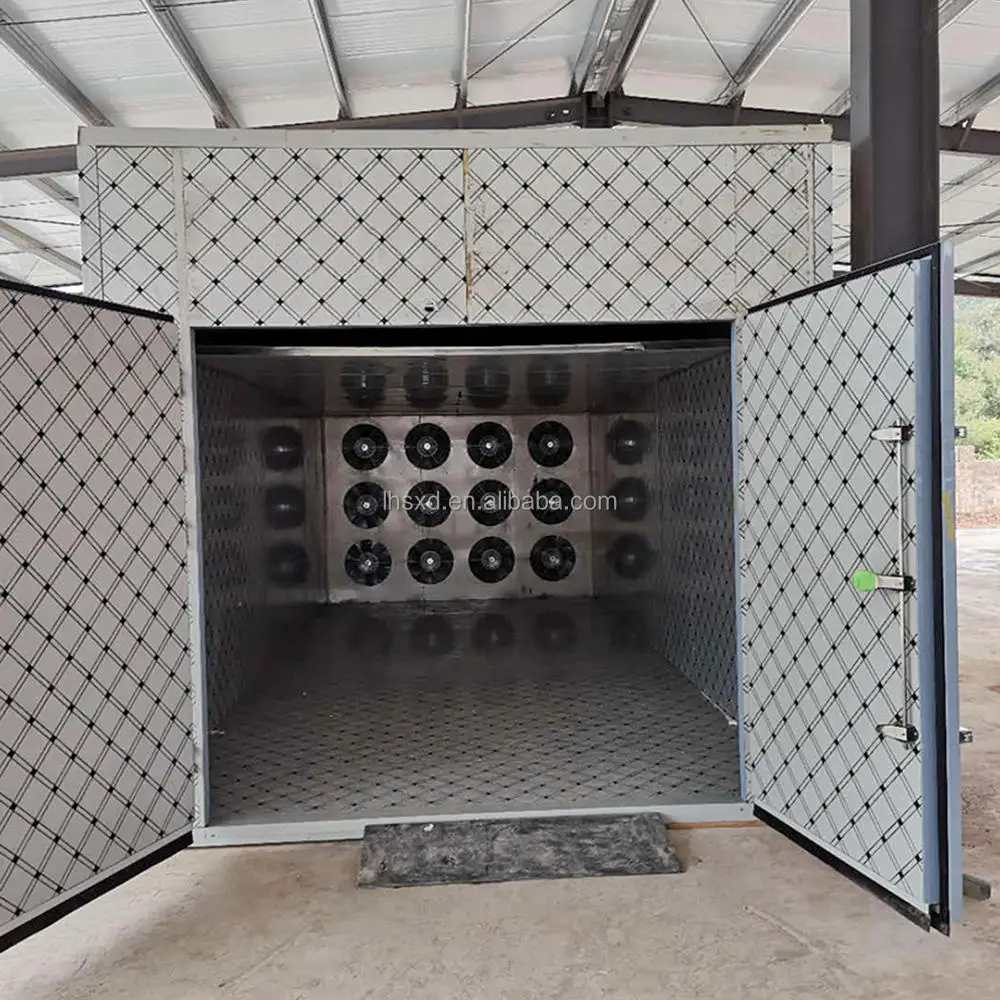 Efficient and energy-saving fruit and vegetable dryer