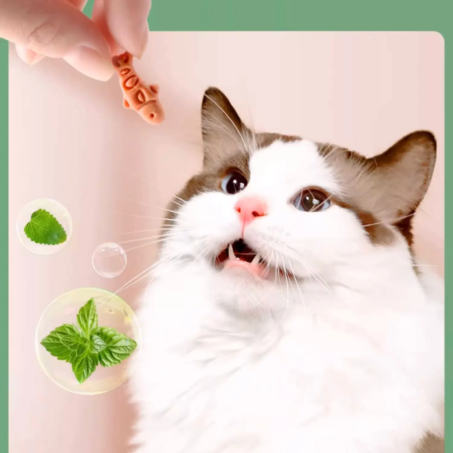 Cat Snacks Mint Fish Biscuits Freeze Dried Hair Removal Balls Teeth Grinding and Fattening Products for Young Cats