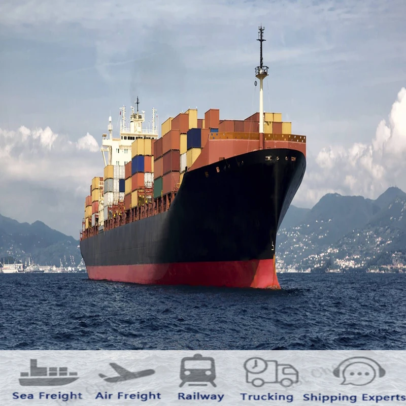 Amazon Dropshipping Cargo DDU DDP Shipping Sea Freight Forwarder Cheapest Charge Rates Ocean Transportation to USA Transit Time