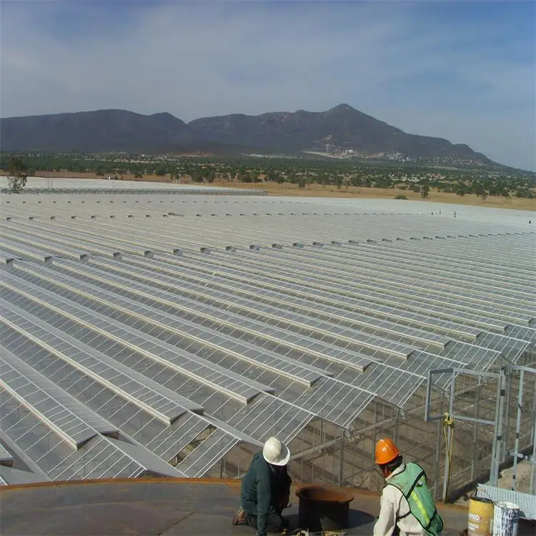 Китай, сельскохозяйственная многопролетная гидропонная стеклянная теплица Venlo для овощей/цветов/томатов/фермы/сада