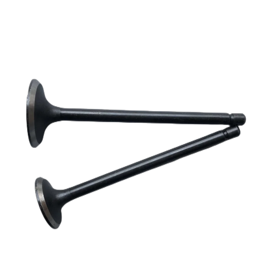 Motorcycle CG125 spare parts inlet and exhaust valve CG125, 156FMI, Hunter (d24/h93mm d29/h93,5mm)