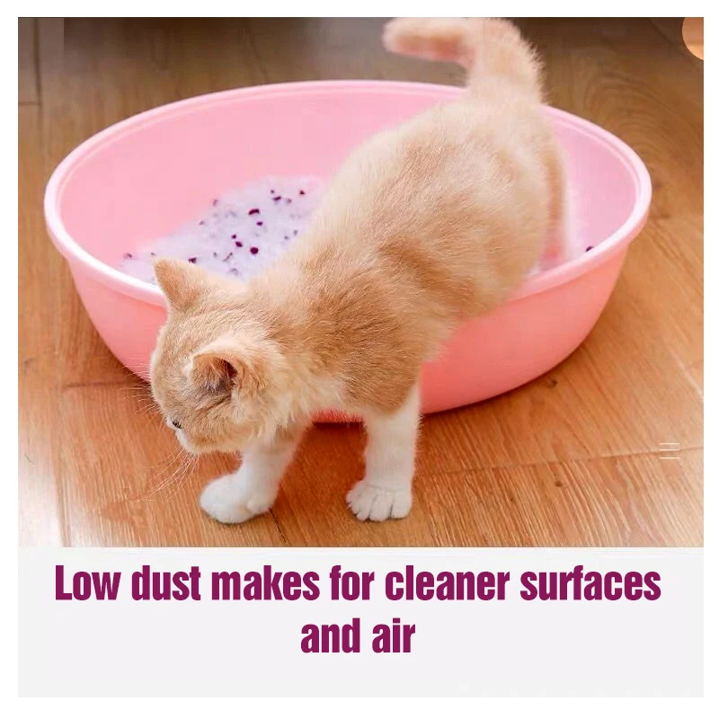 Wholesale Bulk Premium Fresh Easy Clean Factory Sale Silicate Oem Crystal Silica Gel Cat Litter Sand