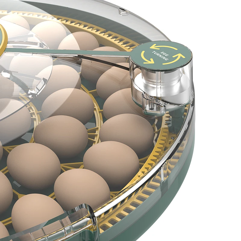 Wonegg Mini Dual Power Eggs Chicken Broiler Pigeon Egg Incubator Automatic Brooder Incubator For Poultry