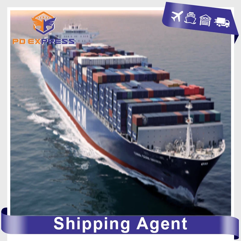 Stable shipping service sea freight shipment sea shipping service sea cargo ship China shipping to USA Amazon warehouse service