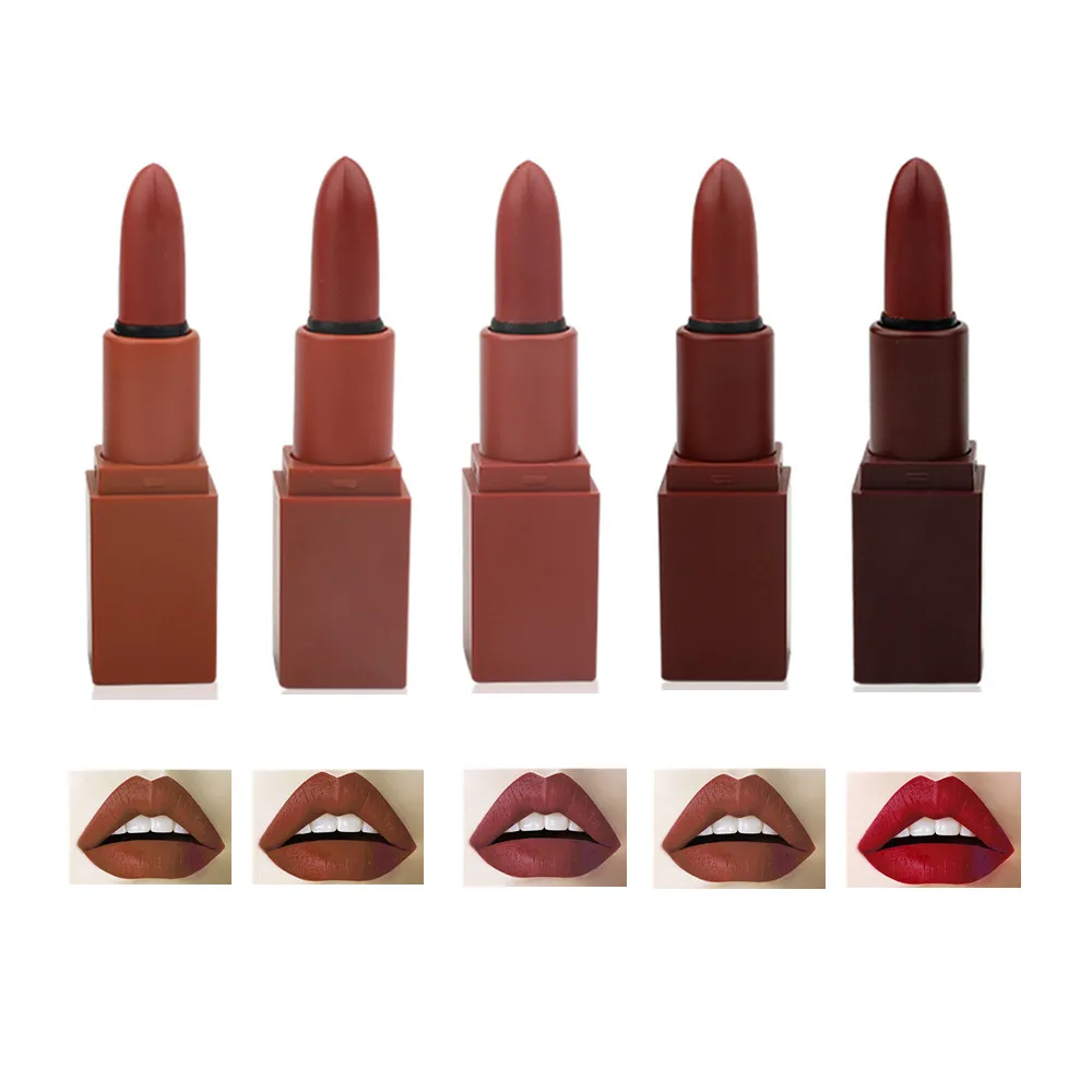 Private Label 5 colors in 1 Matte Lipstick Set Long Lasting Pigment Nude Lipstick OEM