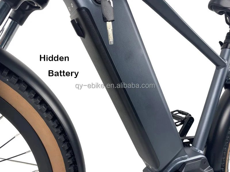 QUEENE Vintage 350W/500W  Gates Belt Drive Mid Drive Motor  Electric Road Bike Powerful Ebike