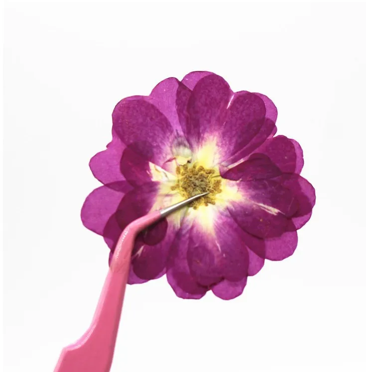 Сделай Сам тиснение сушеные цветы растения материалы ручной работы для детей Школа уроки ручной работы натуральные листья цветы розы