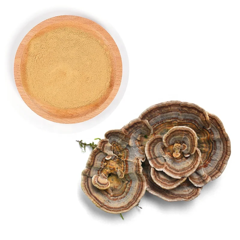 Factory reasonable price Trametes versicolor mushroom polysaccharide extract powder