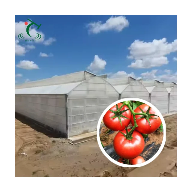 Турецкие сельскохозяйственные теплицы и пластиковая пленка сарай каркас томатная теплица