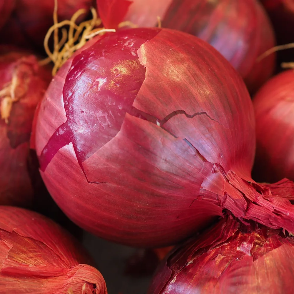 2023 brand fresh peeled onion price red and yellow onion peeled Chinese onions fresh vegetables for sales