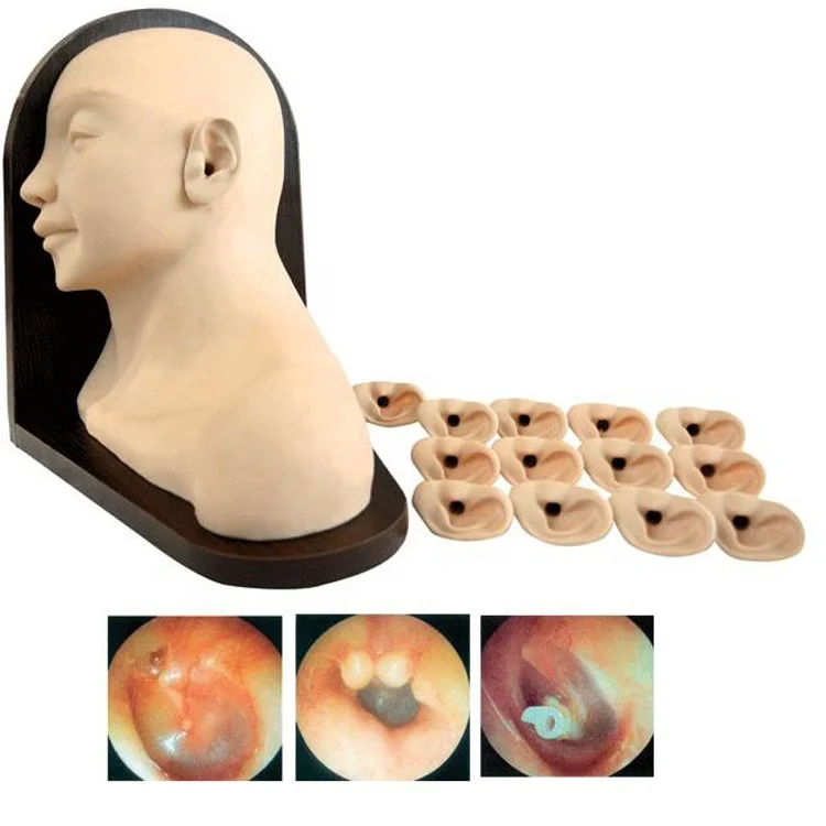 Hot Sale Ear Inspection Simulator,Ear Diagnostic Training model