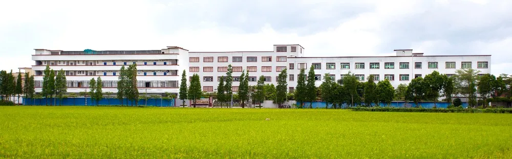 Plastic 2 Slice Toaster for Toast Bread, Puff Pastry,commercial conveyor toaster