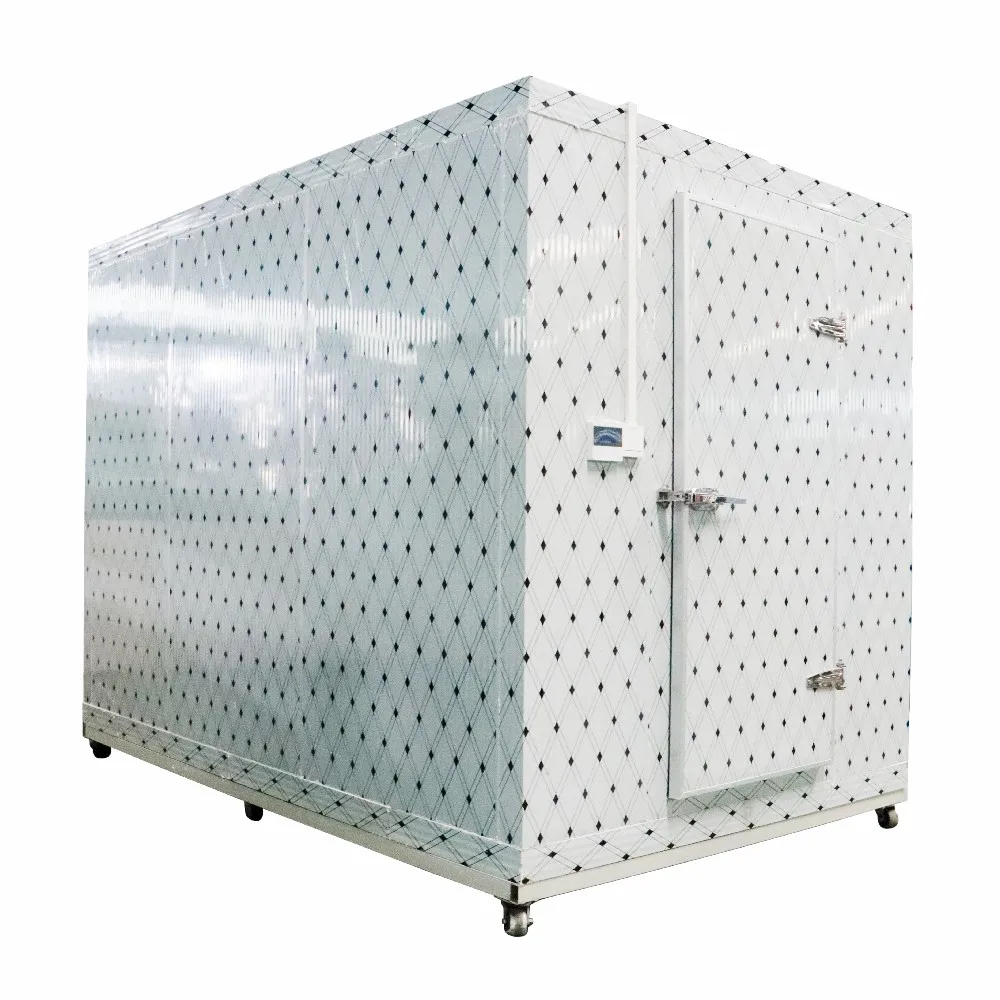 China Commercial Cold Room Frozen Chicken Saudi Arabia Ice Cream Storage Cold Room industrial compressors