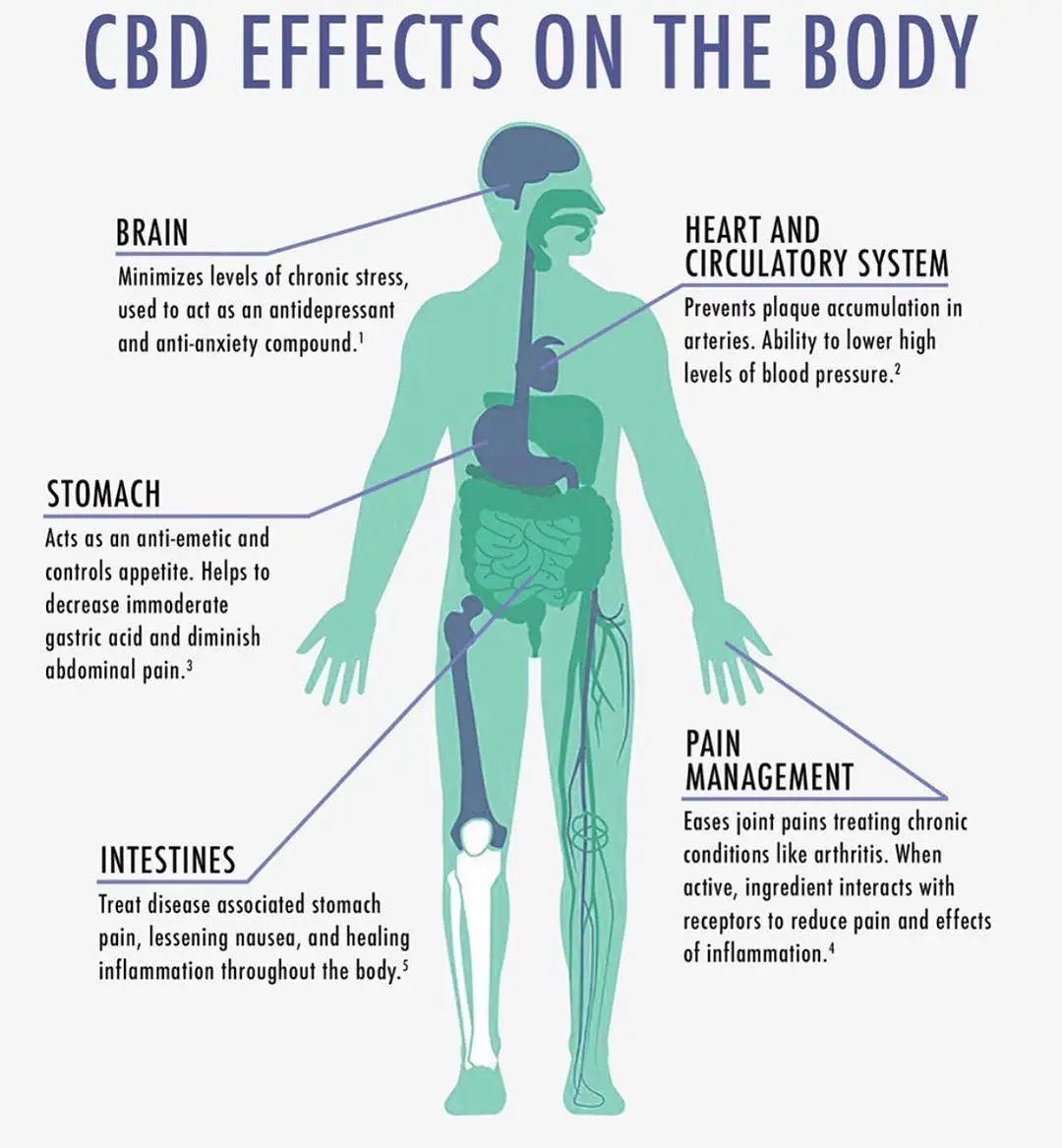 
High Concentration CBG CBDV THCV 90% Full Spectrum CBD Oil 