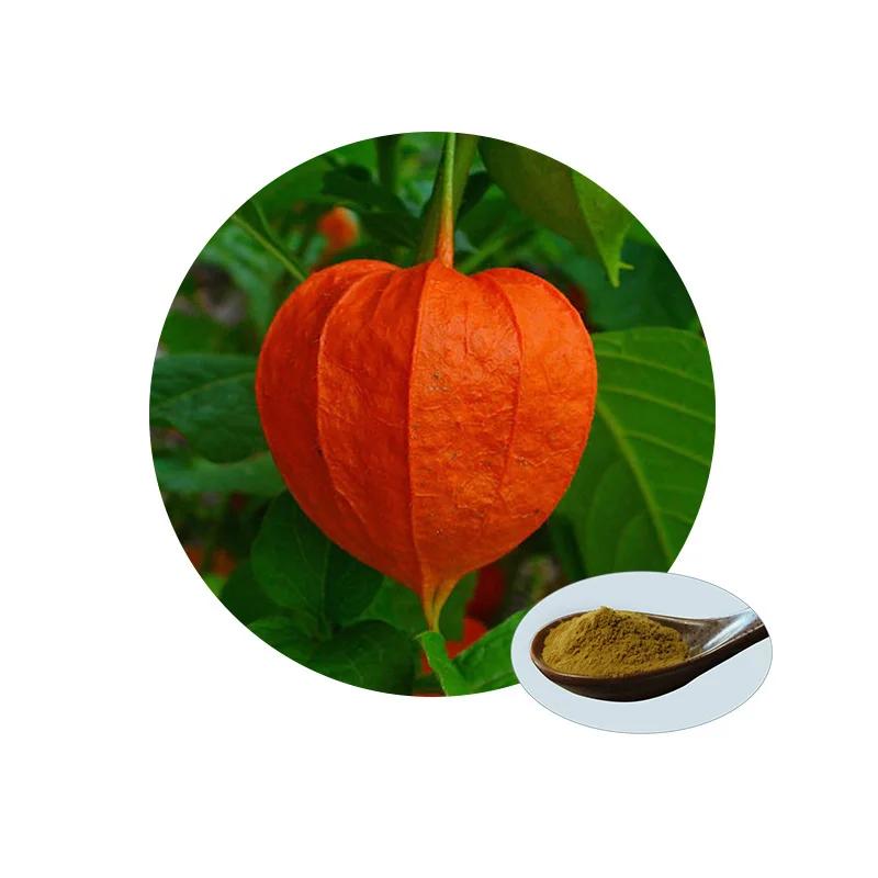 Health Pure Natural Ashwagandha Root Extract Powder Ashwagandha Withanolides