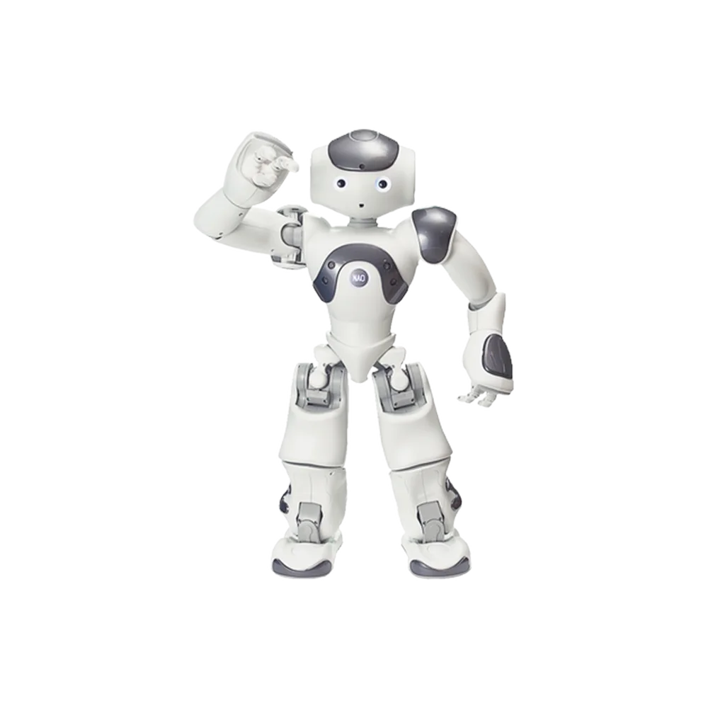 SoftBank Robotic NAO розничный умный робот программируемый прием с искусственным интеллектом служба поддержки клиентов многоязычный торговый