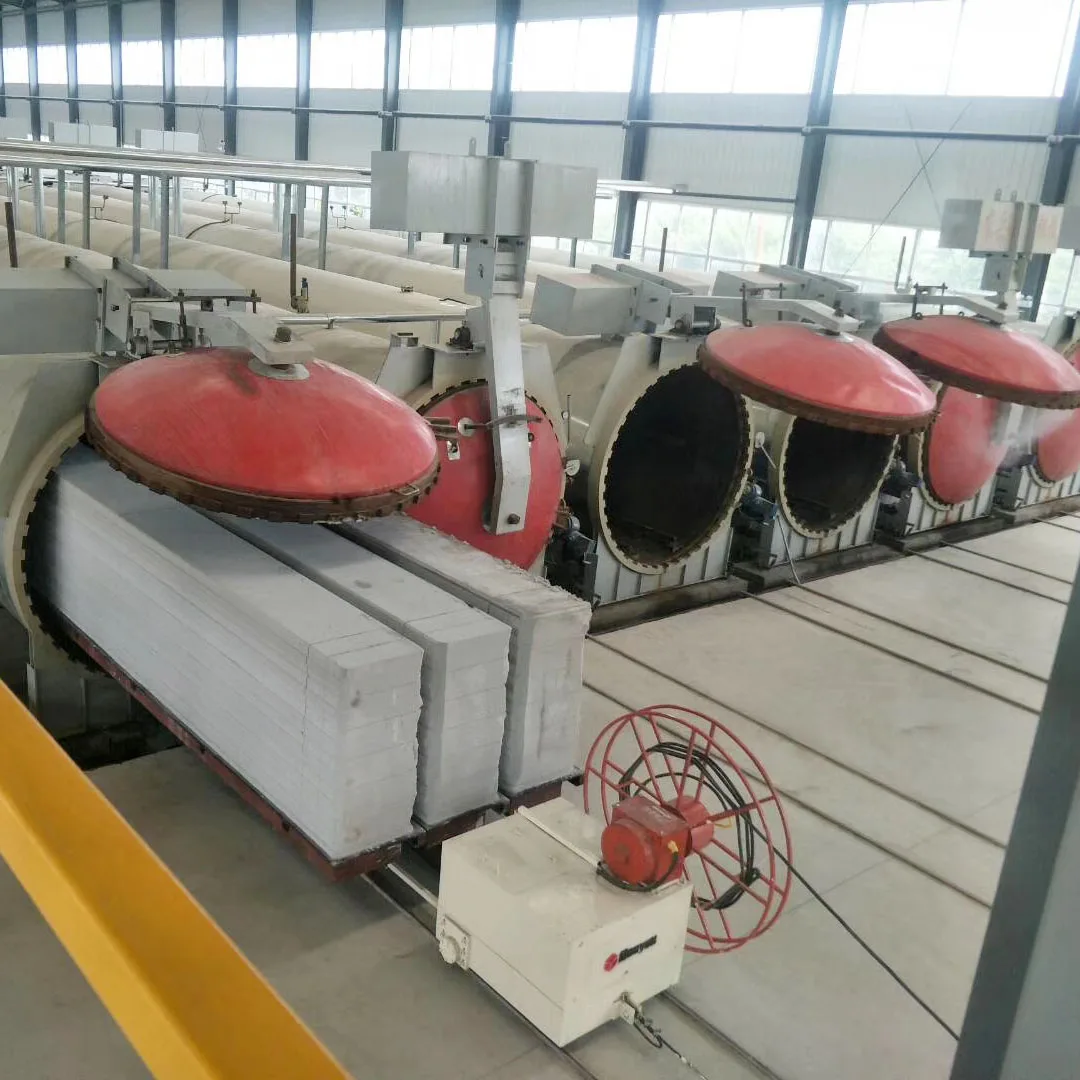 Donyue brand autoclave aerated concrete brick and panel making machinery AAC ALC line factory manufacturer and supplier in China